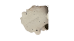 Accent Cowhide Rug